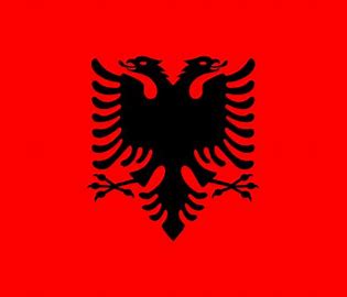 Image result for albania flag